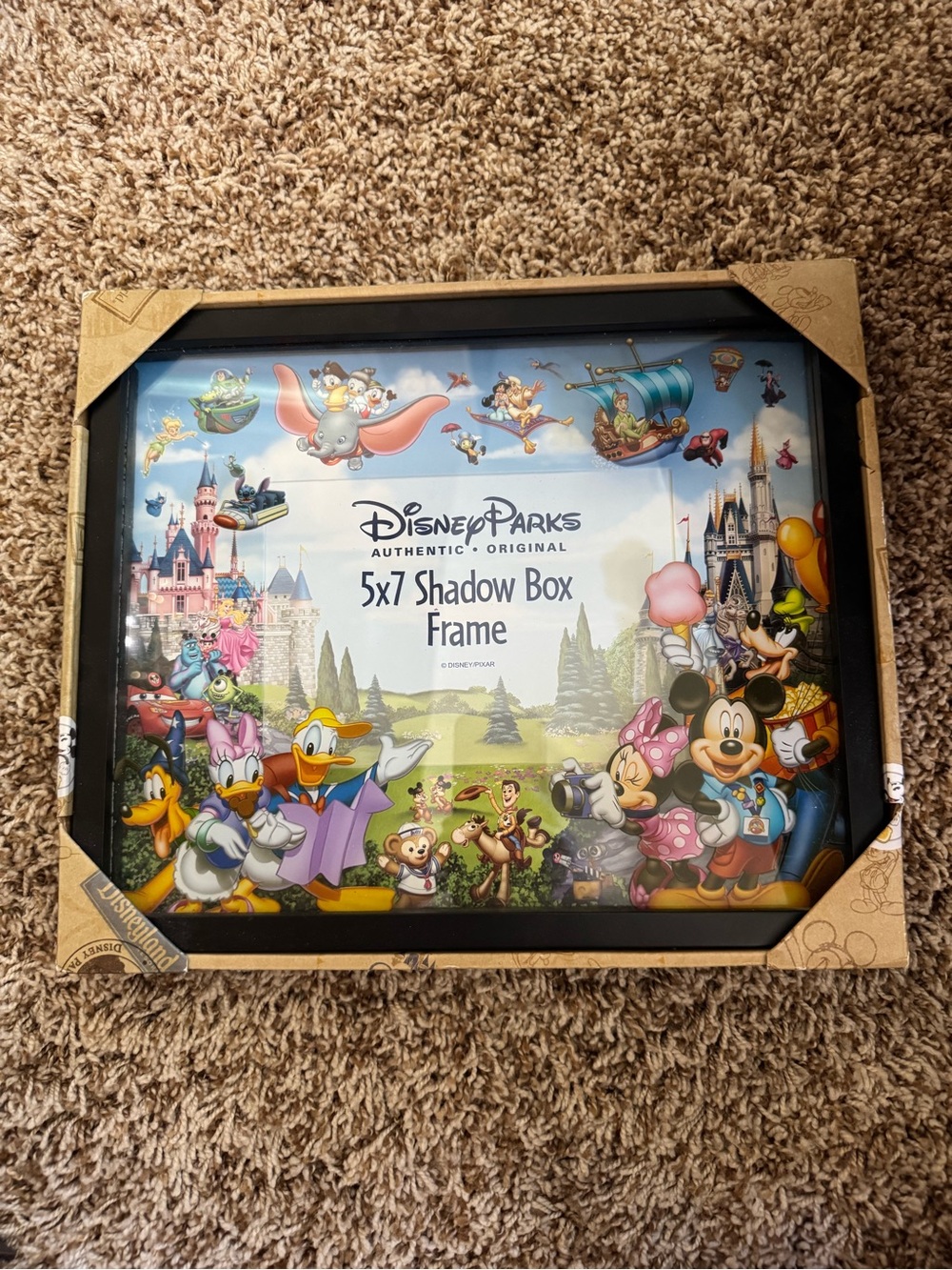 Disney Parks Storybook Character 5x7 Shadow Box Frame - NEW